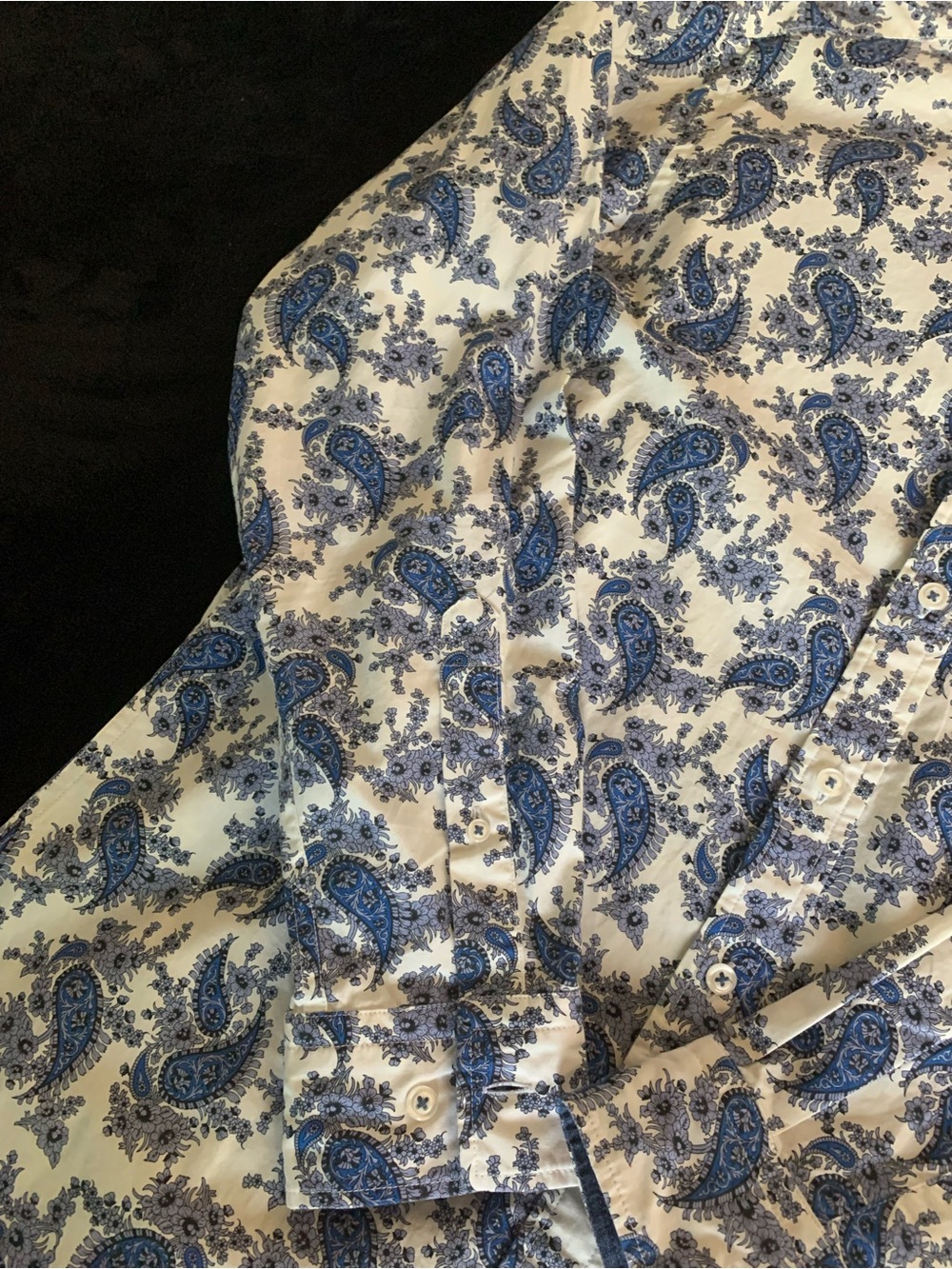 Daniel Cremieux White and Blue Paisley Button-Down Shirt - Picture 3 of 6